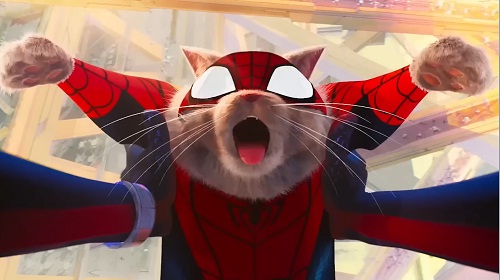  گربه عنکبوتی (Spider-Cat)